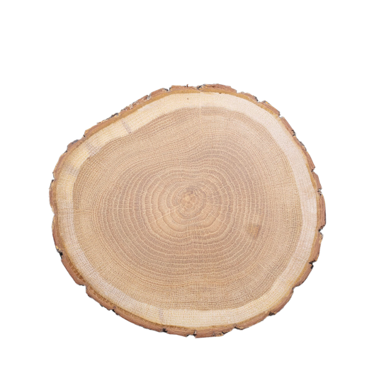 sc_11_wood_img sc_11_wood_img